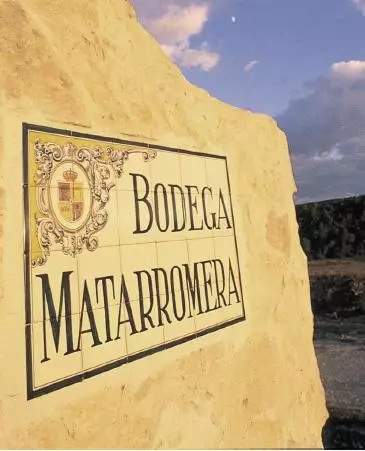 Grupo Matarromera pretende crear una red de enoturismo en la comarca