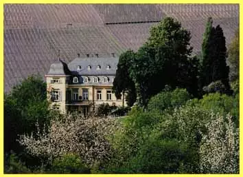 Egon Müller Scharzhof protragonista de la cata más prestigiosa y reconocida de España