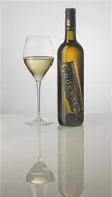 ‘Viña godeval 2006’ entre los 100 mejores vinos del mundo según Wine Spectator