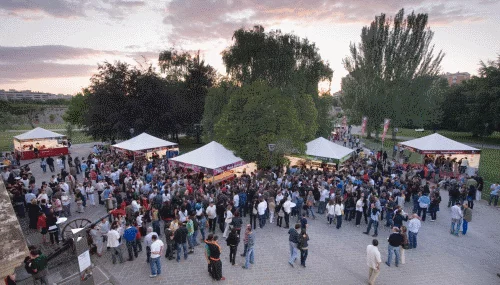 Más de mil personas disfrutaron de la Noche de los Jóvenes Navarros