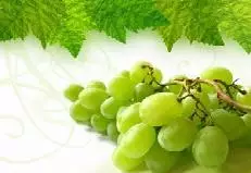 La vendimia de Rías Baixas supera un 18,7% al año pasado