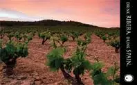 `Drink Ribera. Drink Spain´ presenta 380 vinos de 118 bodegas en una Gran Cata en Nueva York