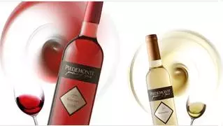 ¡4 Medallas de Plata para comenzar el año!