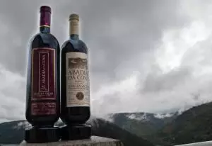 Bodega Abadía Da Cova innova de la mano de ‘Martín Berasategui System’