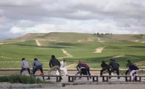 Tai Chi entre viñedos
