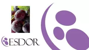 Matarromera lanza su propia línea de cosmética de alta gama