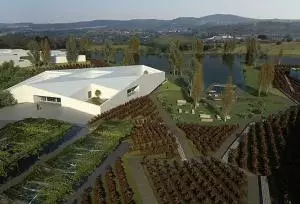 Lo último en turismo y propiedad inmobiliaria: viñedos llave en mano