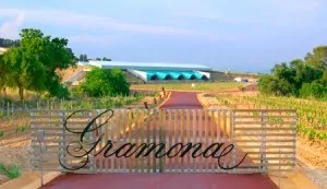 Penedès aprueba el primer vino de hielo español con denominación de origen