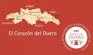 Ribera del Duero nominada a la categoría de “Mejor Región Vinícola del Año» por Wine Enthusiast
