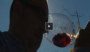 ¿Un Vega Sicilia por 35 euros?