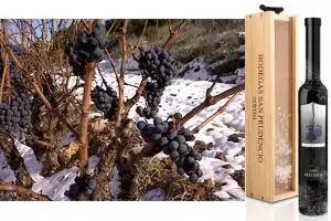 Primer vino de uva helada de la DOC Rioja
