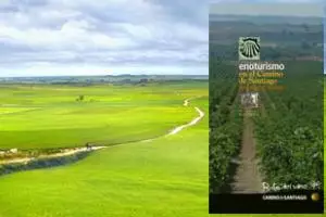 El libro `Enoturismo en el Camino de Santiago´ galardonado en los Premios Gourmand 2010