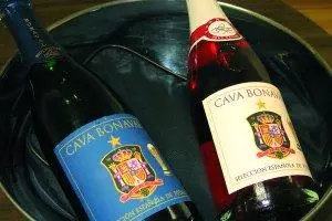 Brindis extremeño por ‘La Roja’