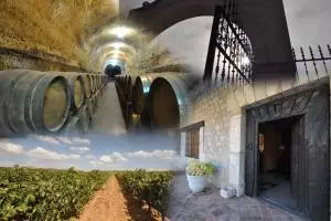 Un día de Amor en torno al Vino