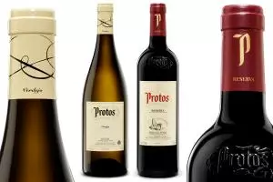 Grupo Bodegas Protos bate su récord histórico de ventas en 2010