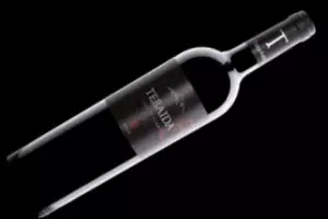 Tebaida Nº 5, el vino Top de la bodega Casar de Burbia, estrena añada y nueva imagen