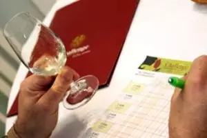 18 medallas Navarra en el Challenge International du Vin
