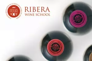 ‘Ribera del Duero Wine School’ en Internet