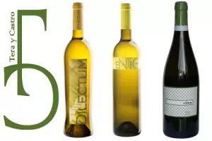 Tera y Castro recibe tres medallas en los premios Decanter