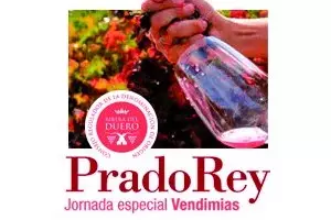 Vendimias didácticas en PradoRey