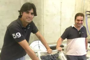 En busca del vino tinto perdido