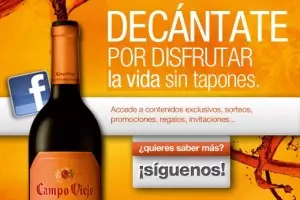Campo Viejo, Decanta el Futuro