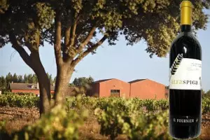 Alfa Spiga 2006 se coloca de nuevo entre los mejores vinos del mundo