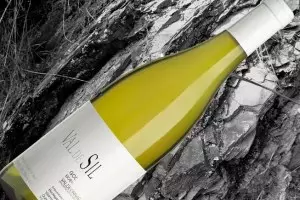 Valdesil, único vino español en la lista de vinos blancos del Financial Times