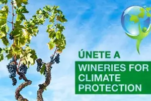 El sector vitivinícola español lidera la lucha global contra el cambio climático