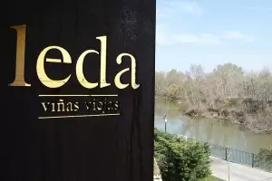Masaveu Bodegas acompañará las creaciones de los chefs más prometedores