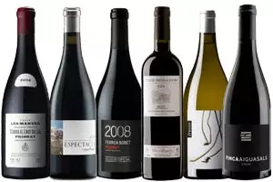 Cata a Ciegas de los mejores vinos de Montsant y Priorat