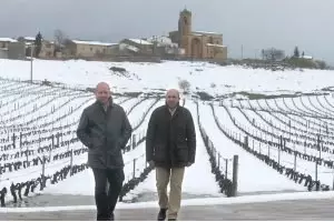 El vino más caro de España