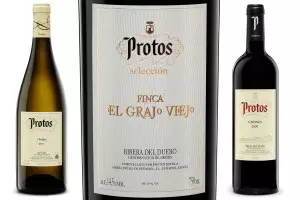 Protos te invita a una novedosa cata marinada