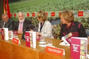 España, segundo exportador de vinos mundial, crece el triple que la media