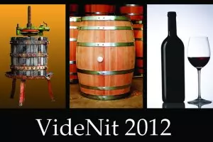 Videnit 2012