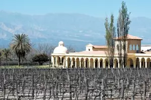 Vinos extremos: Un nuevo manjar