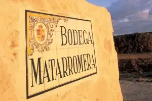 El Grupo Matarromera es premiado a la mejor estrategia internacional en 2011