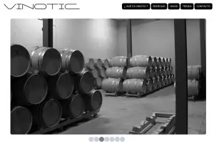 El mercado chino podrá comprar vinos españoles «a golpe de clic»