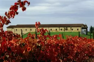 La Rioja Alta, S.A. una de las nueve bodegas más fiables del mundo según la revista ‘Food & Wine’