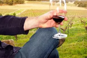 El consumo moderado de vino puede ayudar a prevenir el alzheimer