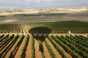 Matarromera te invita a recorrer sus tres bodegas en globo