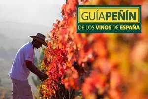 Casar de Burbia logra excelentes puntuaciones en la Guía Peñín 2013