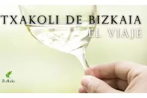 Una guía vizcaina sobre el txakoli, mejor publicación sobre vino europeo