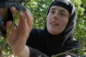 El vino alarga la vida