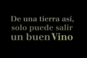 D.O. Rías Baixas – «Un año de Vino»