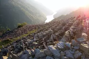 El CSIC recupera la viticultura heroica en Asturias potenciando el «despegue de un sector vinícola competitivo»