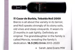 Tebaida Nº5 entre los tres mejores ‘Bierzos’ en la cata monográfica de la revista Decanter