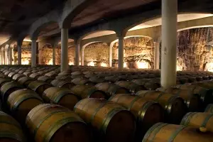 El gran reto del vino ecológico es apostar por la calidad