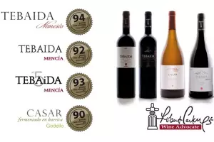 Excelentes puntuaciones Parker para los Vinos del Bierzo