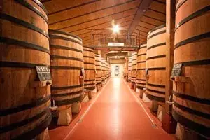 El negocio de las barricas de vino